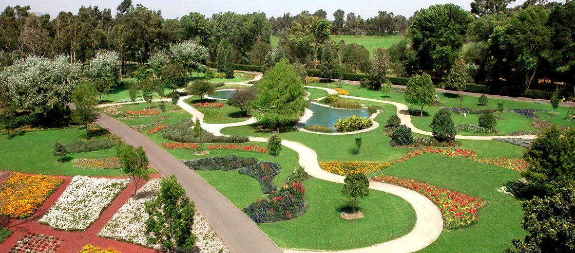 Bienes raíces y desarrollo inmobiliario