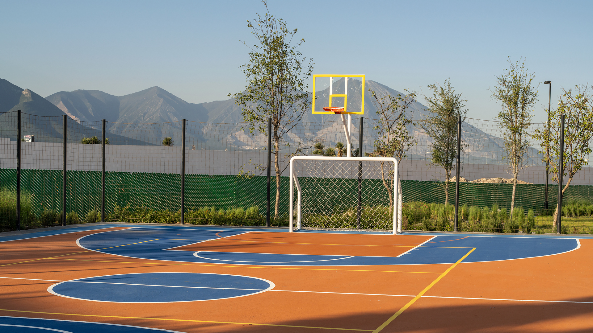 Imagen del portafolio de EcoTraze