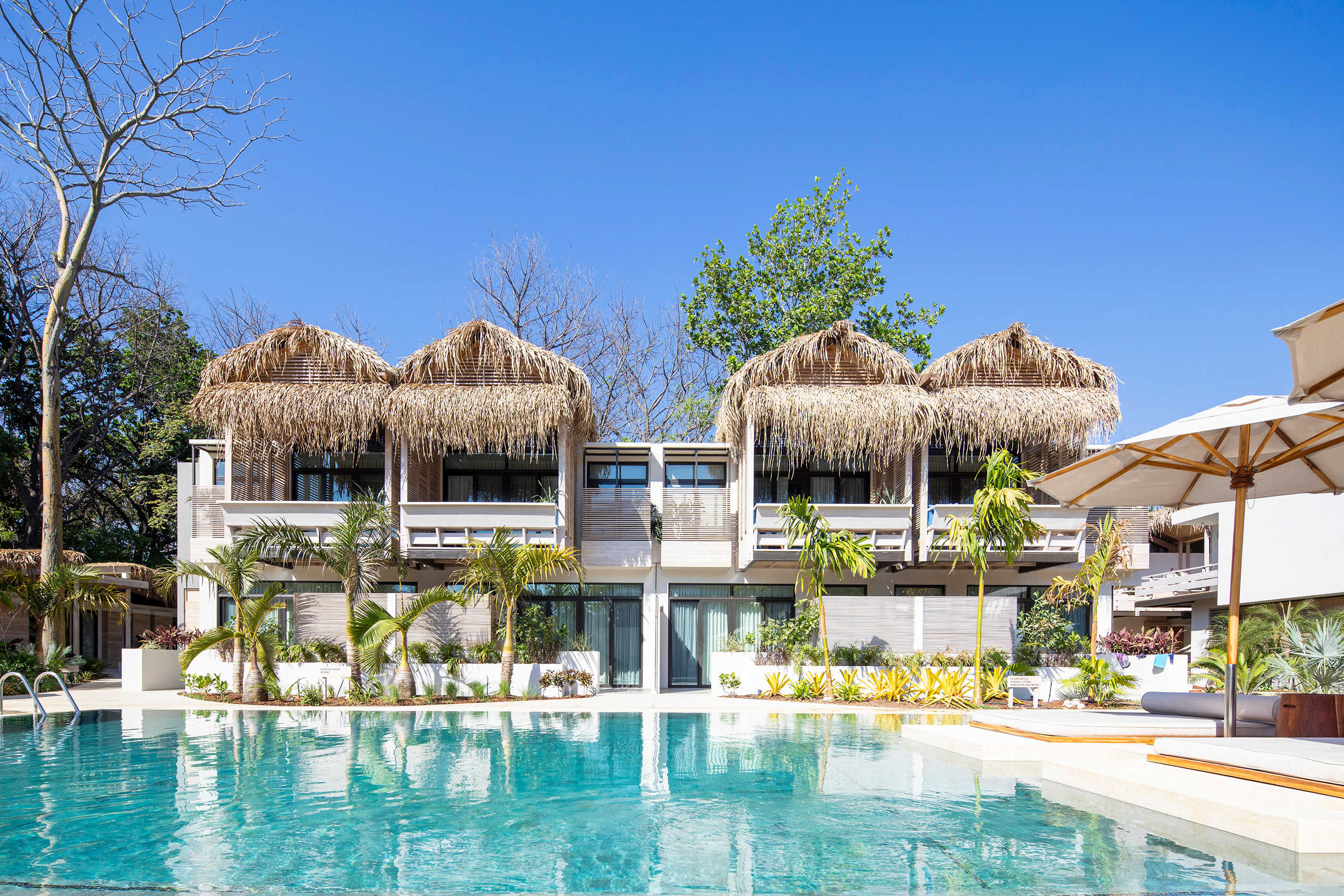 Hotel The Gilded Iguana