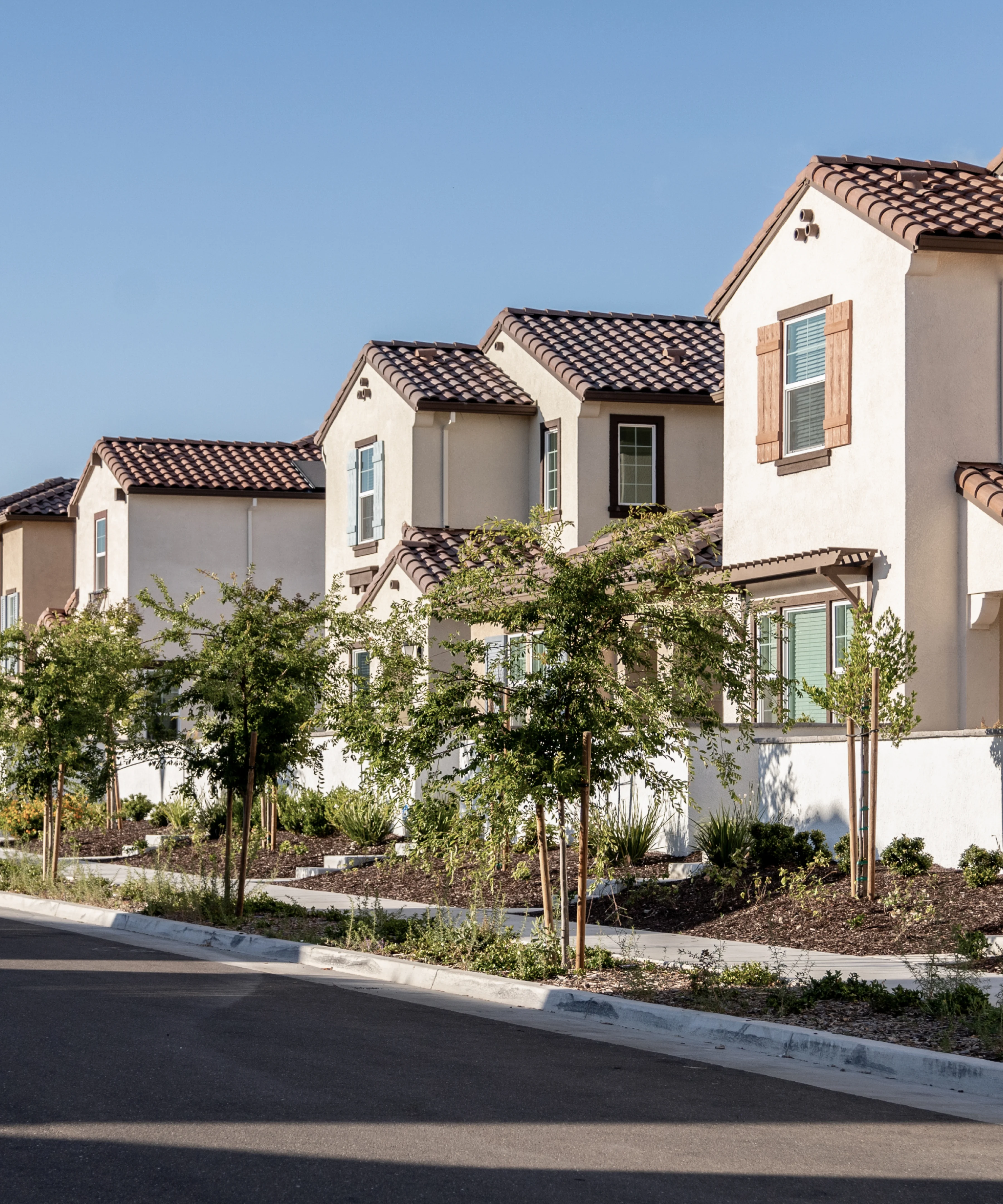 Row of homes on a street in a neighborhood