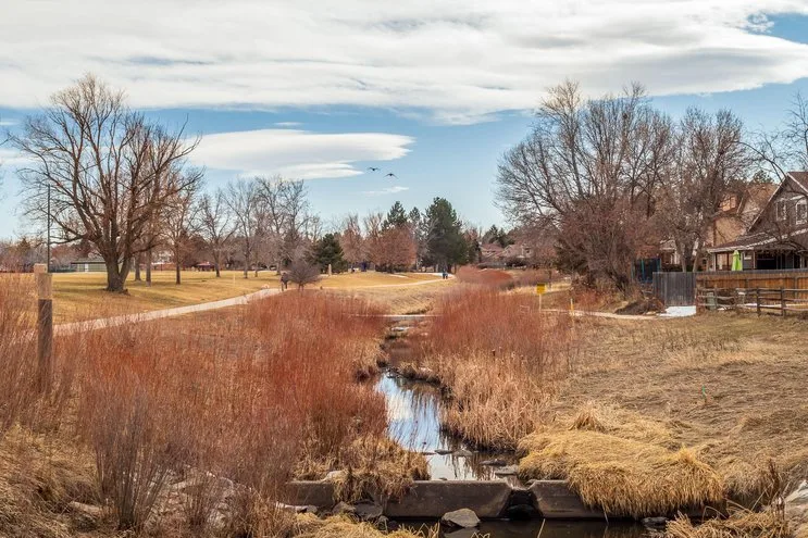 Brown field and stream
