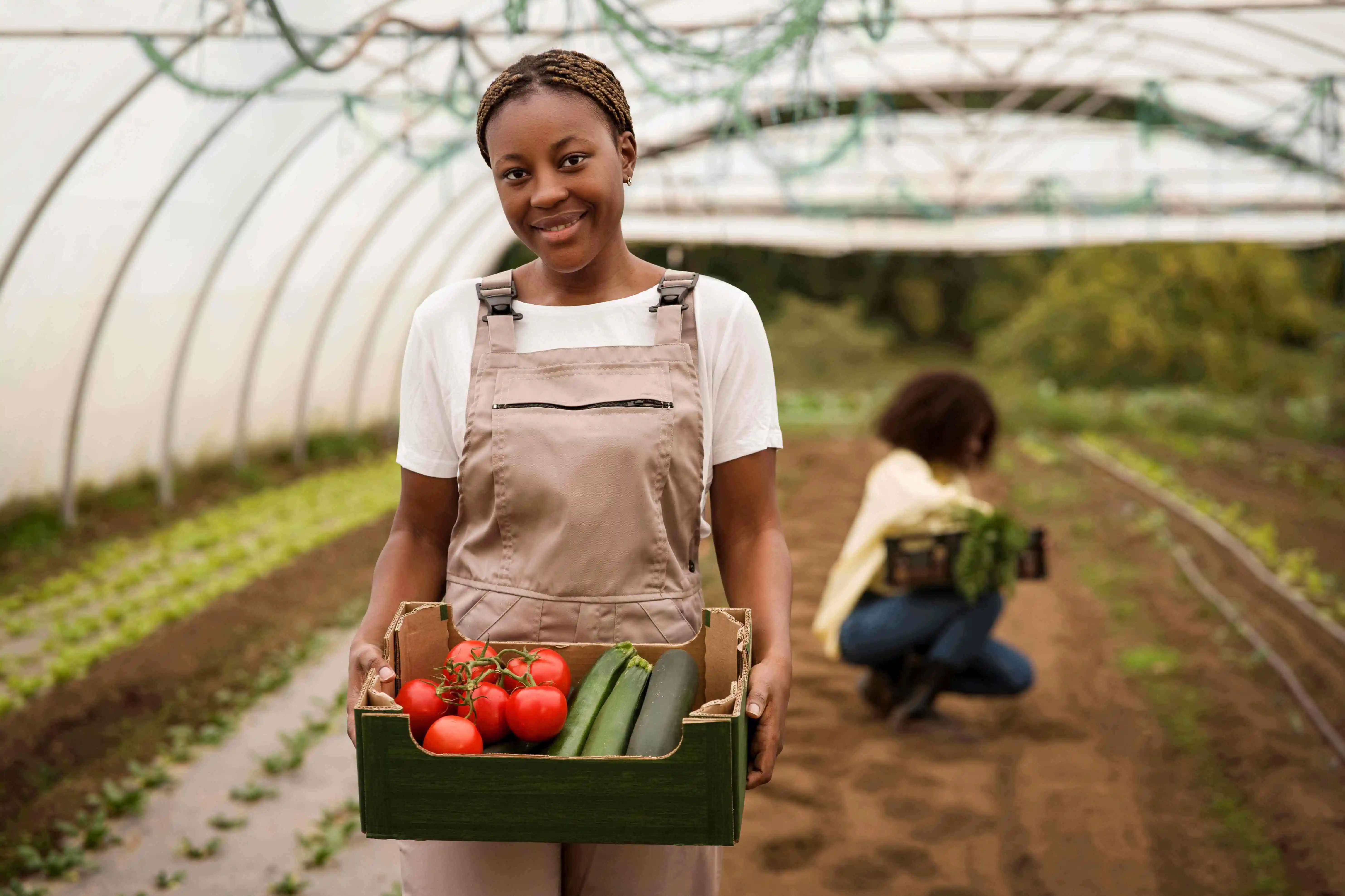 Agriculture, Agri-business & Food Security