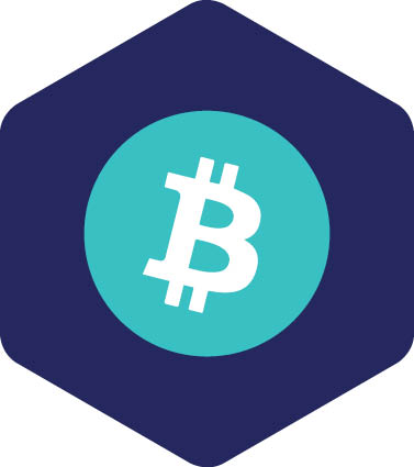 Payments Evolution & Innovation
