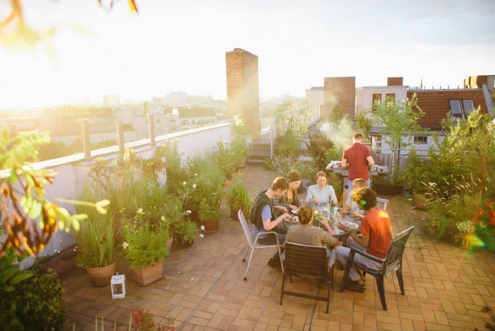 gemütliches Beisammensein mit der Familie oder Freunden auf der Dachterrasse eines Flachdaches mit verschiedenen Pflanzen