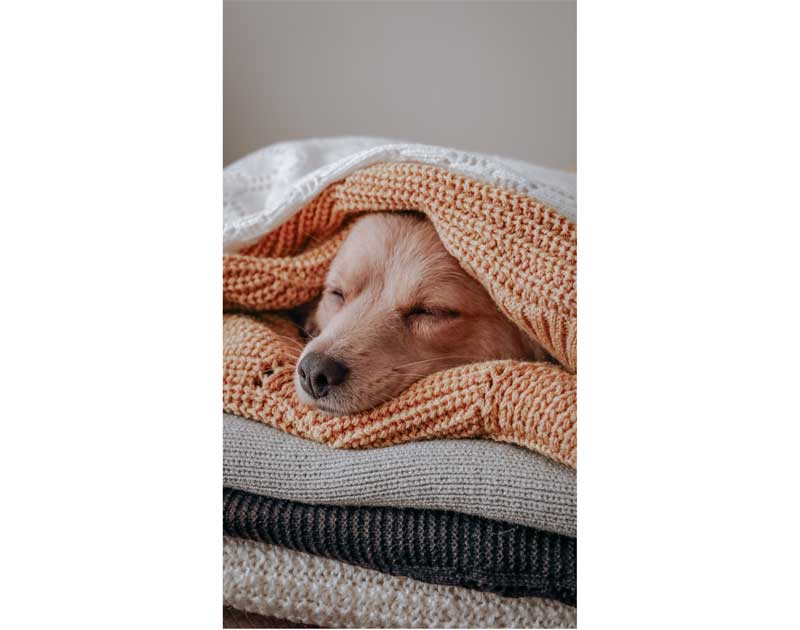 Snuggle-With-Yur-Doggy