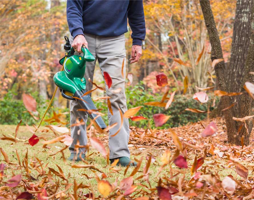 202 Clean-energy-gardening-tools Leaf Blower
