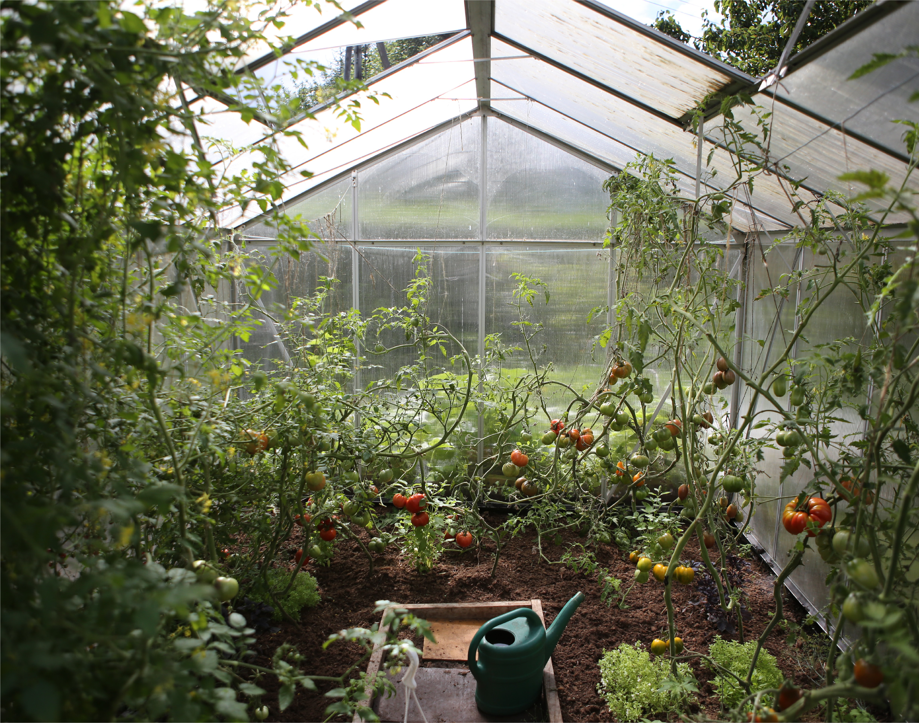 202 Community Garden with Clean Energy v1 RM-03