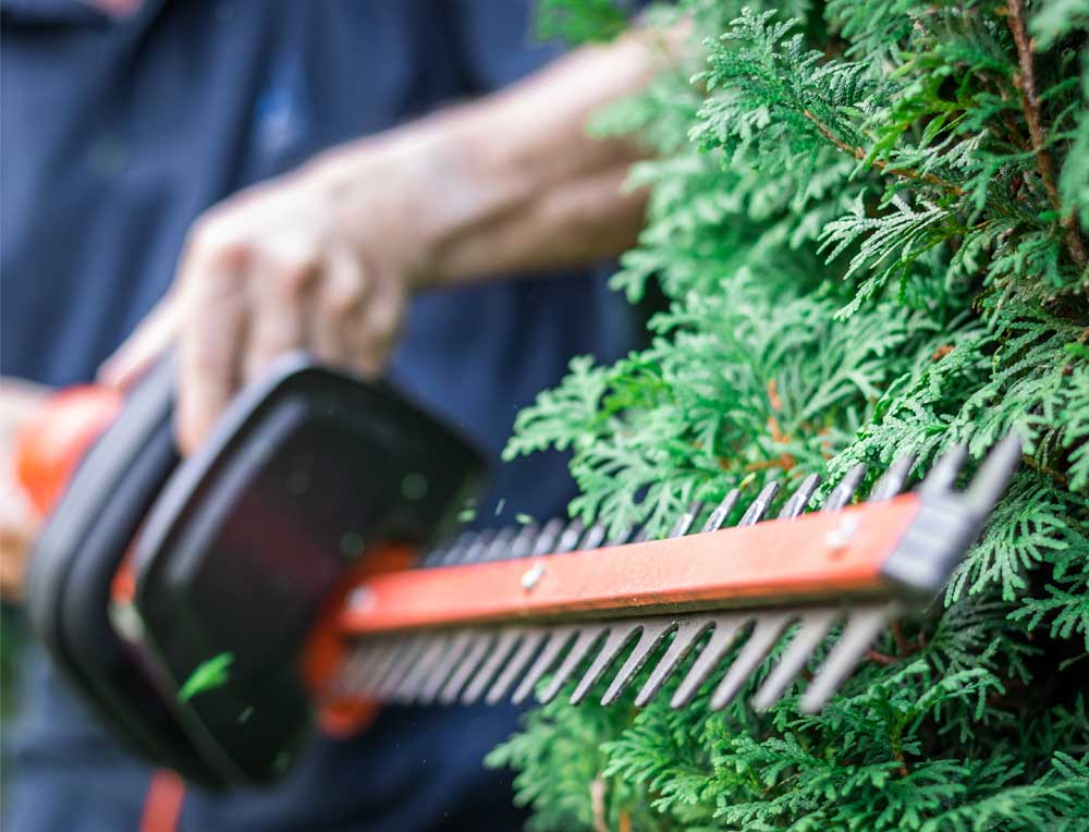 202 Clean-energy-gardening-toolsHedge Trimmers