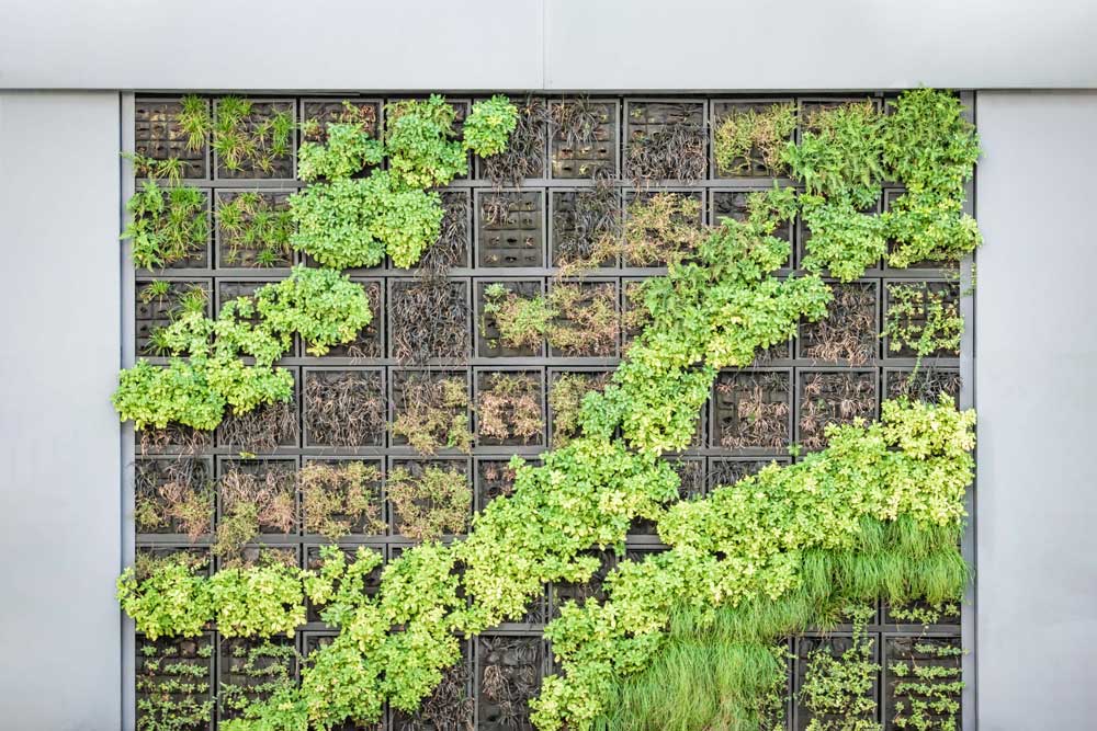 Wall garden