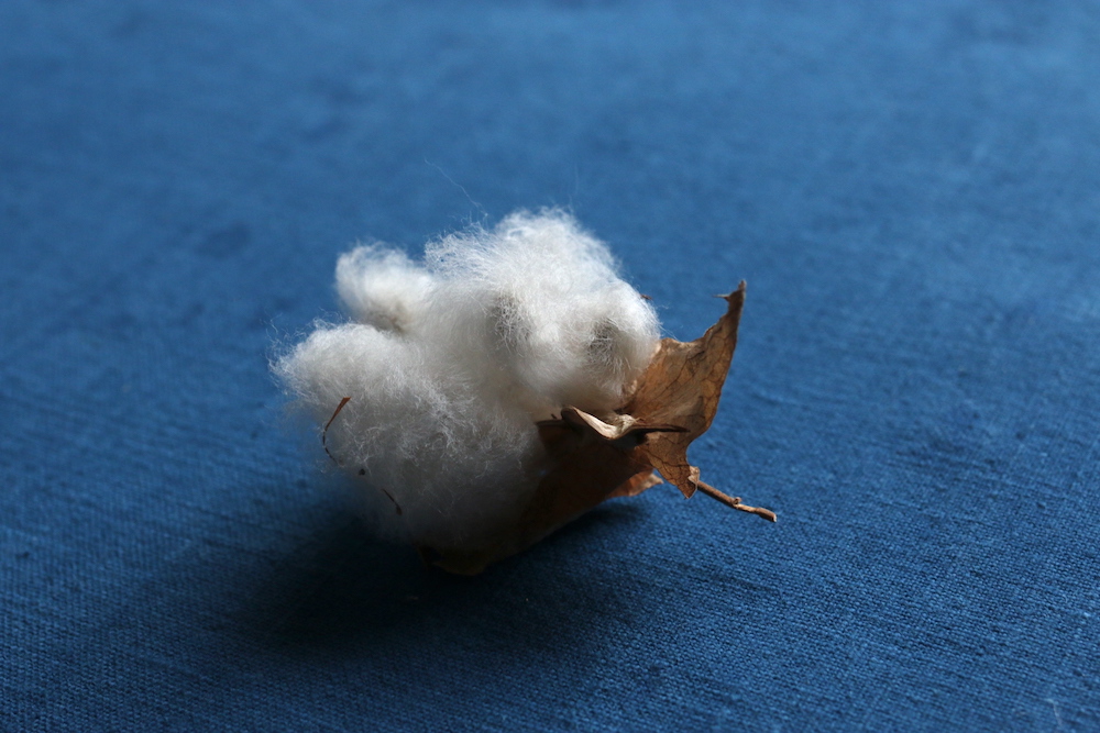 what-about-cotton