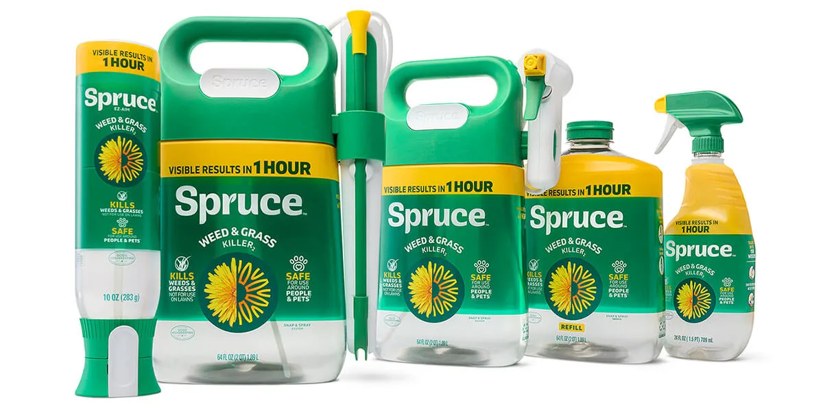 Pro Spruce P&G’s Newest Brand Spruce | P&G Connect + Develop™