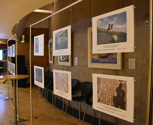 Display stands at a photo exhibition.