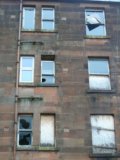 Exterior of a building with broken and boarded up windows.