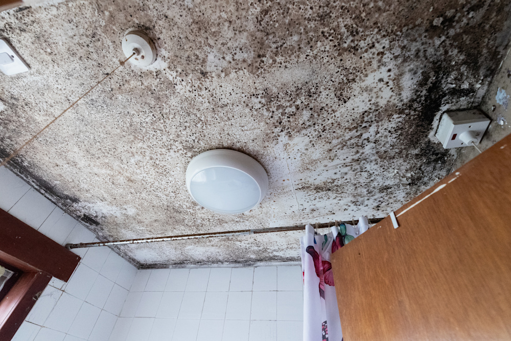 Severe mould on bathroom ceiling