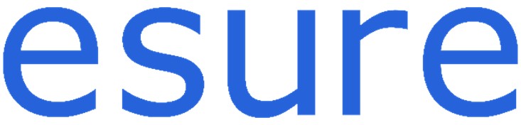 Blue Esure logo