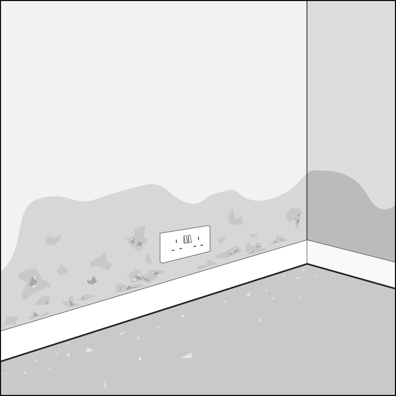 Rising damp on a wall. A dark band of damp is rising up the wall, and paint is flaking off. The area of damp has spread across an electrical socket, which could be a health and safety risk.