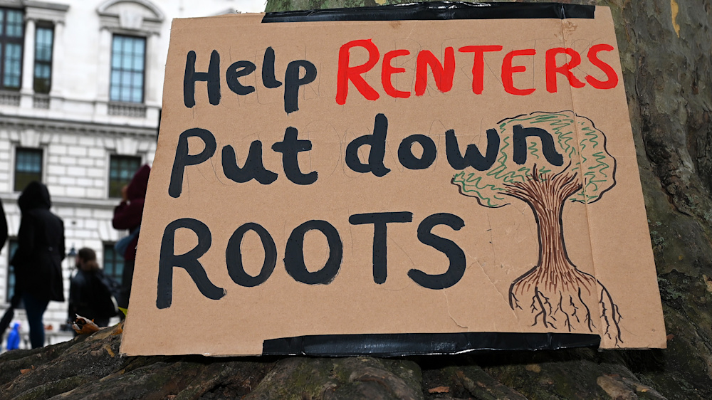 Roots of large tree with a banner on cardboard across the base of the tree saying 'help renters put down roots'.