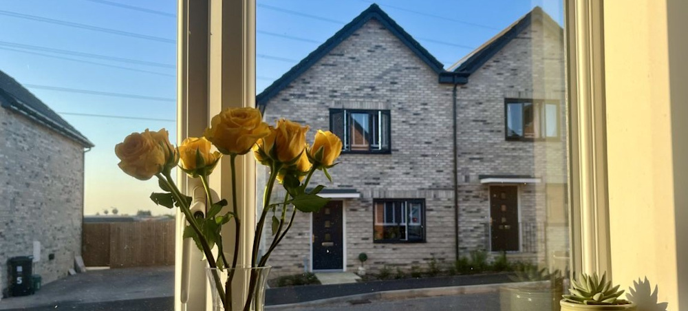A vase of flowers in a window, with a view of semi-detached houses on the opposite side of the street.