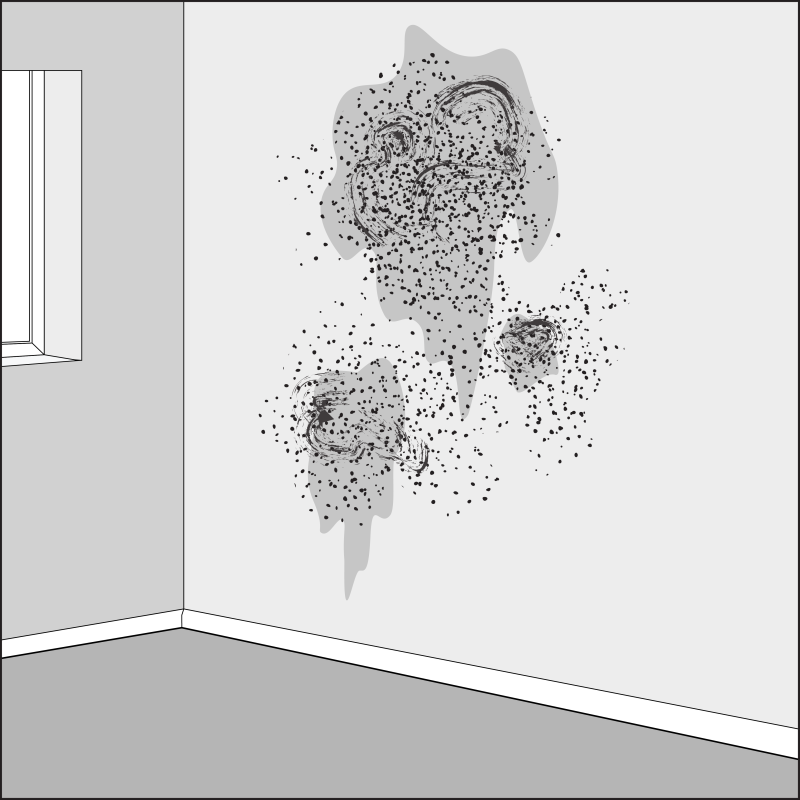 Moisture is coming through a wall of a home, leaving large damp stains. Mould is growing across the stains.