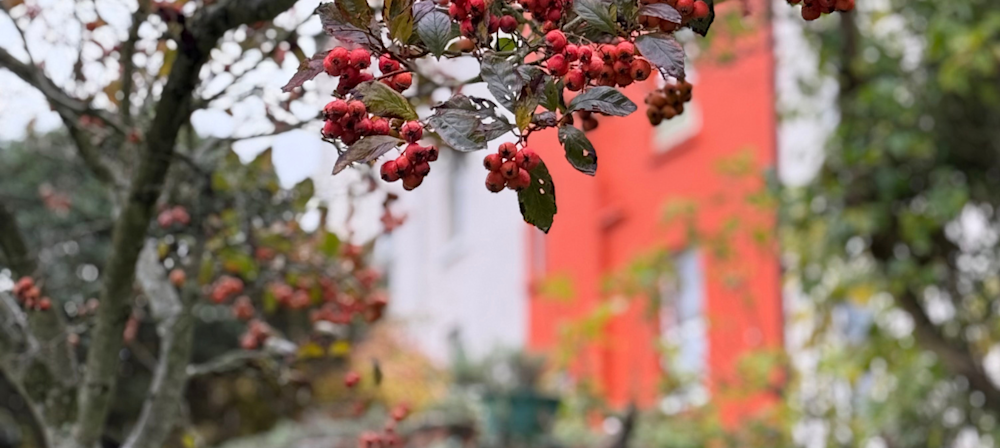 Out of focus image of orange house - 2026 - free to use