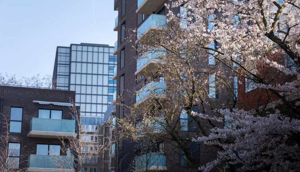 Three blocks of present-day good social housing, alongside blossom trees.