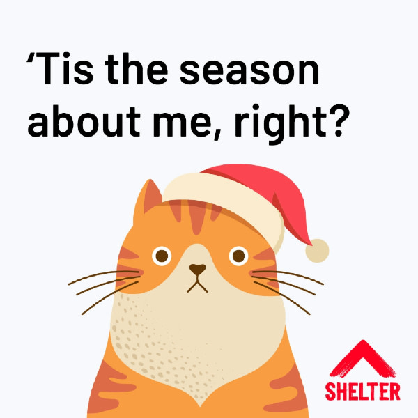 Christmas e-card with cat, that says Tis the season about me, right?