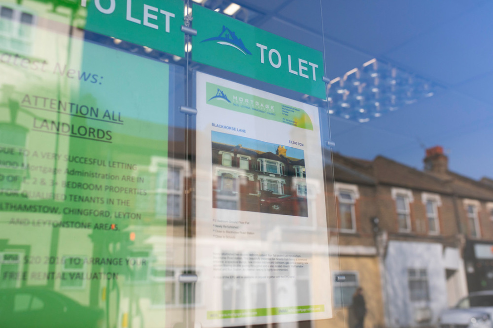 Image of adverts displayed in a letting agents' window.