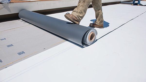 The Ultimate Guide to TPO Roofing: Everything You Need to Know