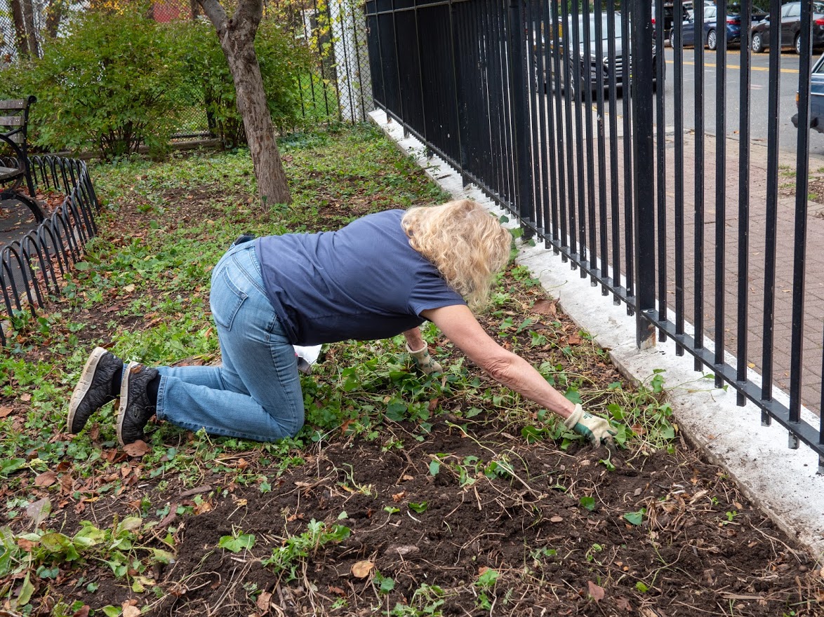 Bulb planting - Stacey - Matt