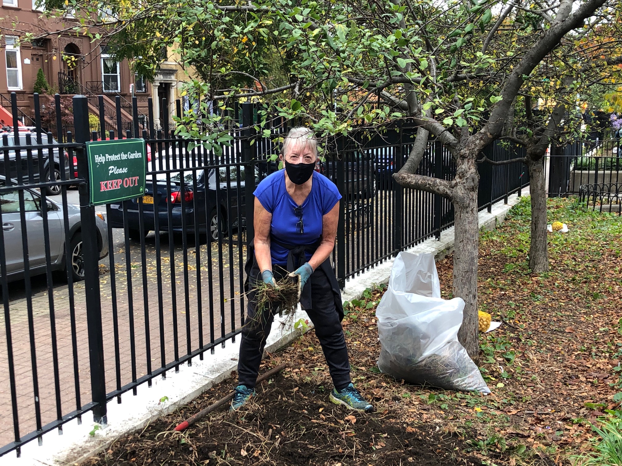 Bulb planting - Den