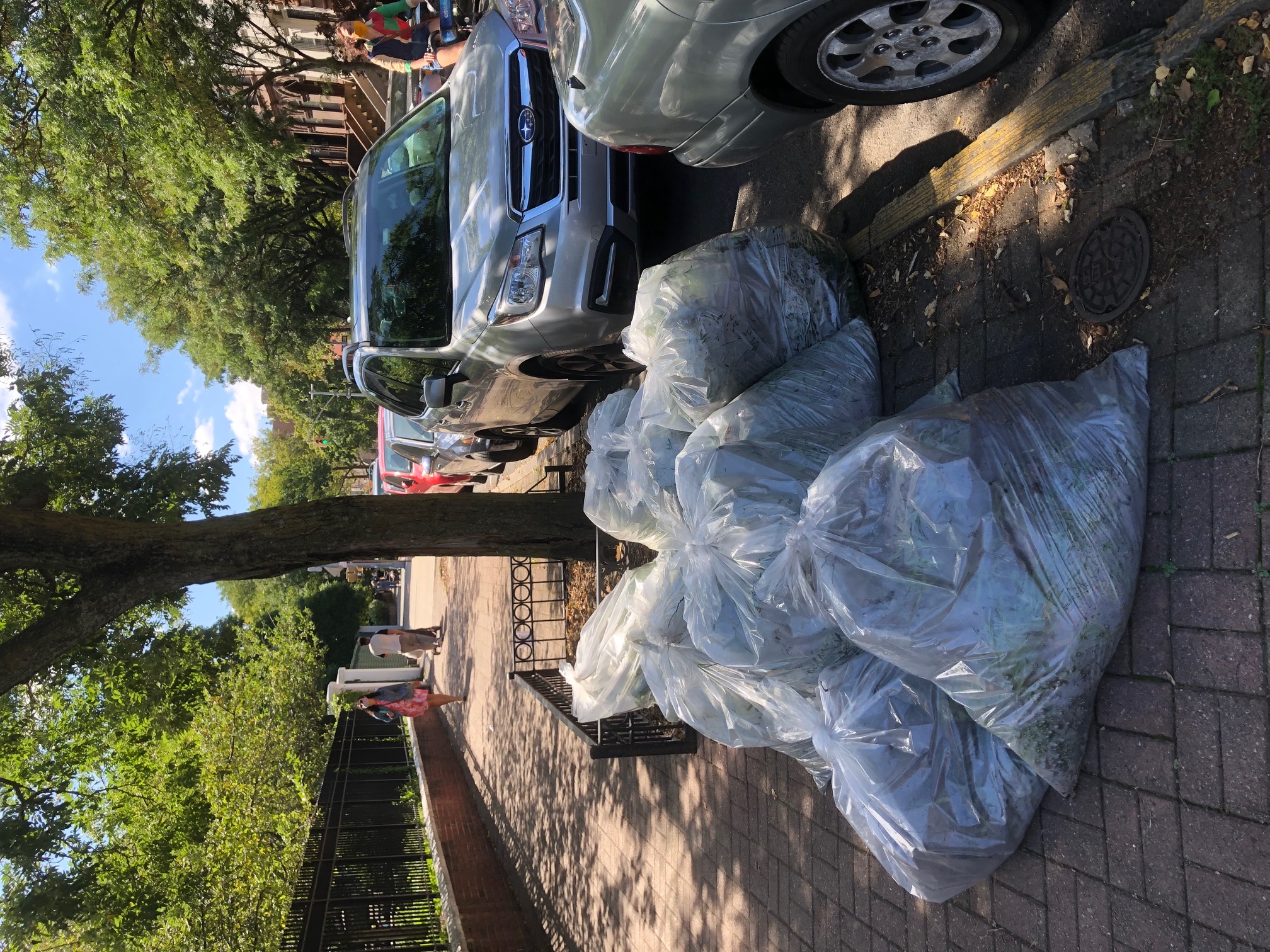 Underhill Playground - 4 10 bags of weeds ready for composting