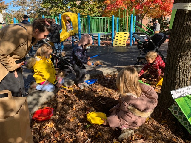 Robin 11 kids with leaf litter