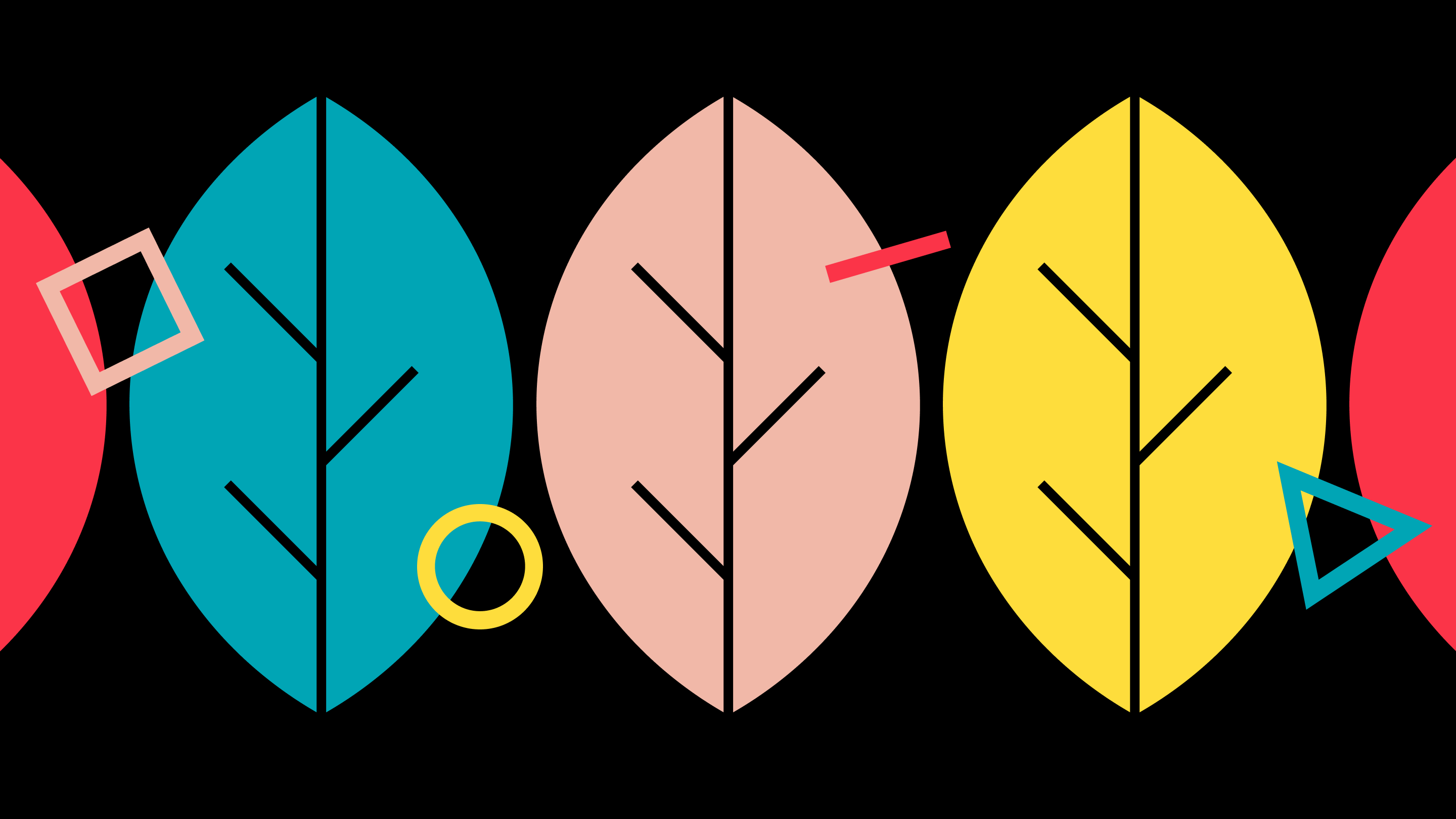 As a climate-neutral agency, denkwerk effectively offsets its CO₂ emissions 