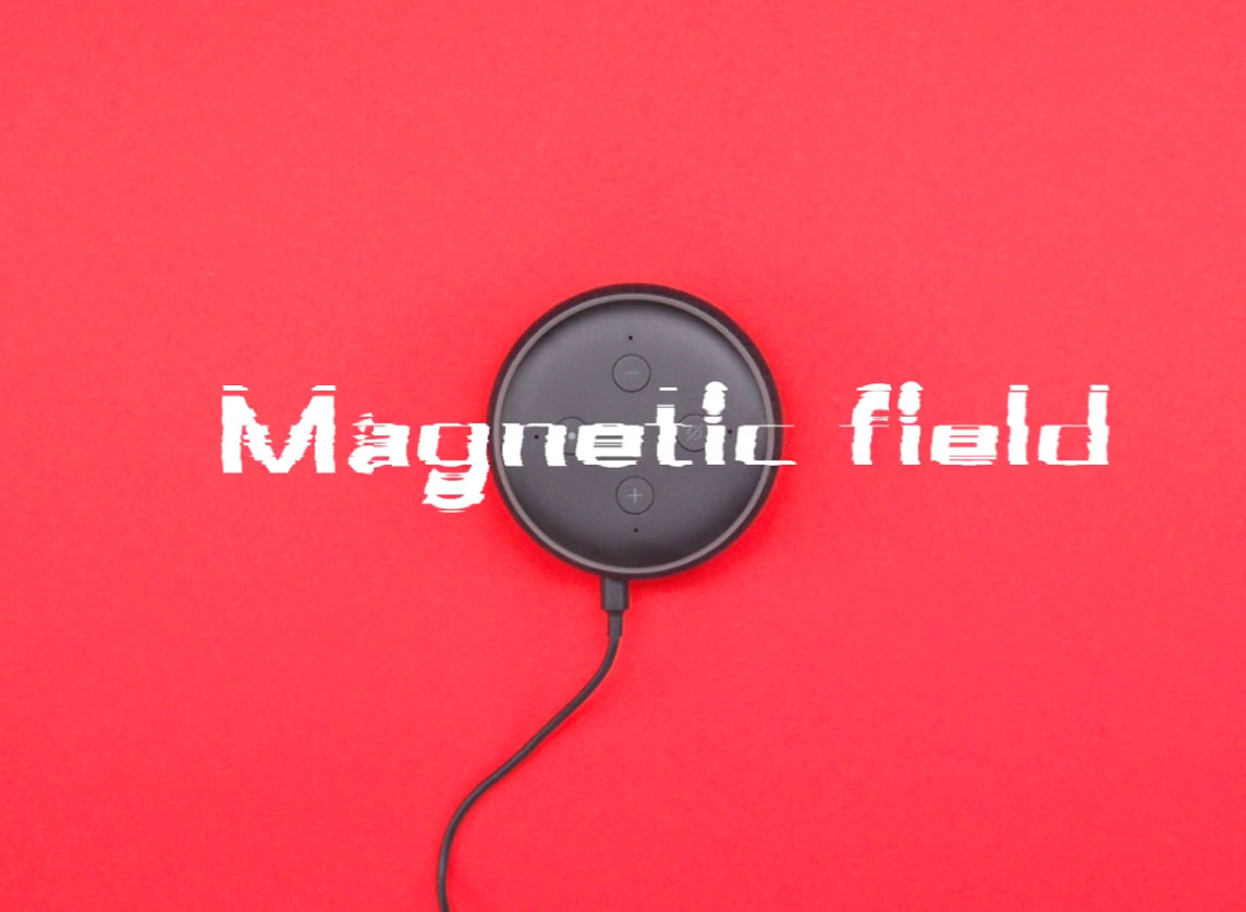 Alexa cage: image example