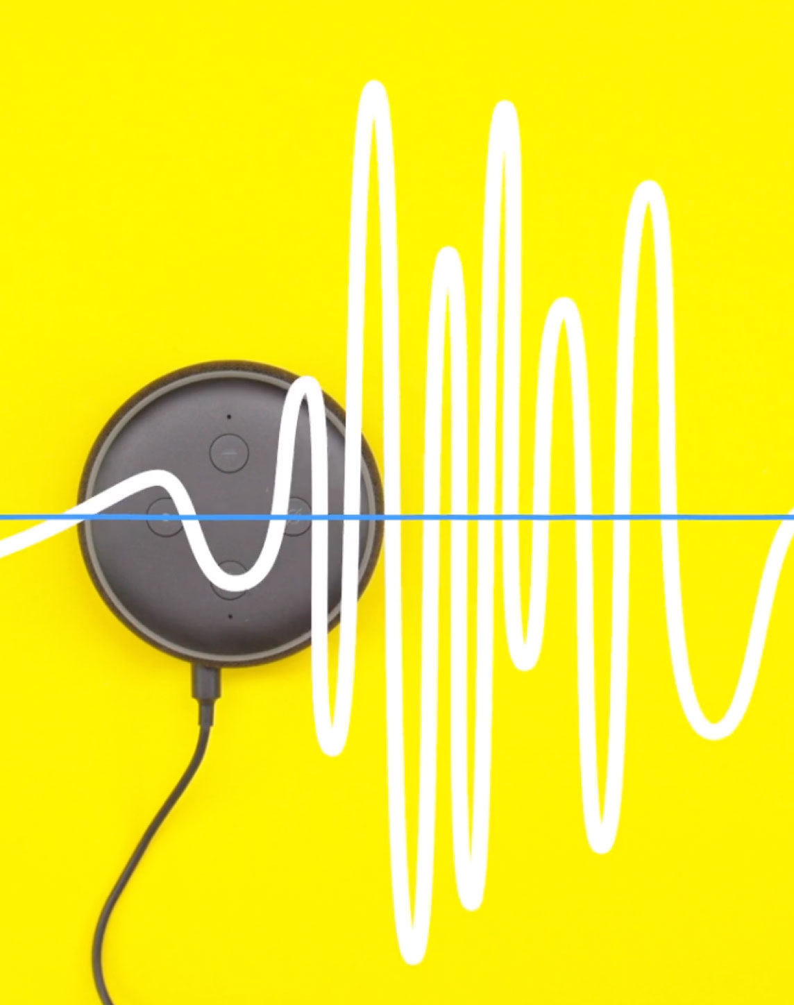 Alexa cage: image example