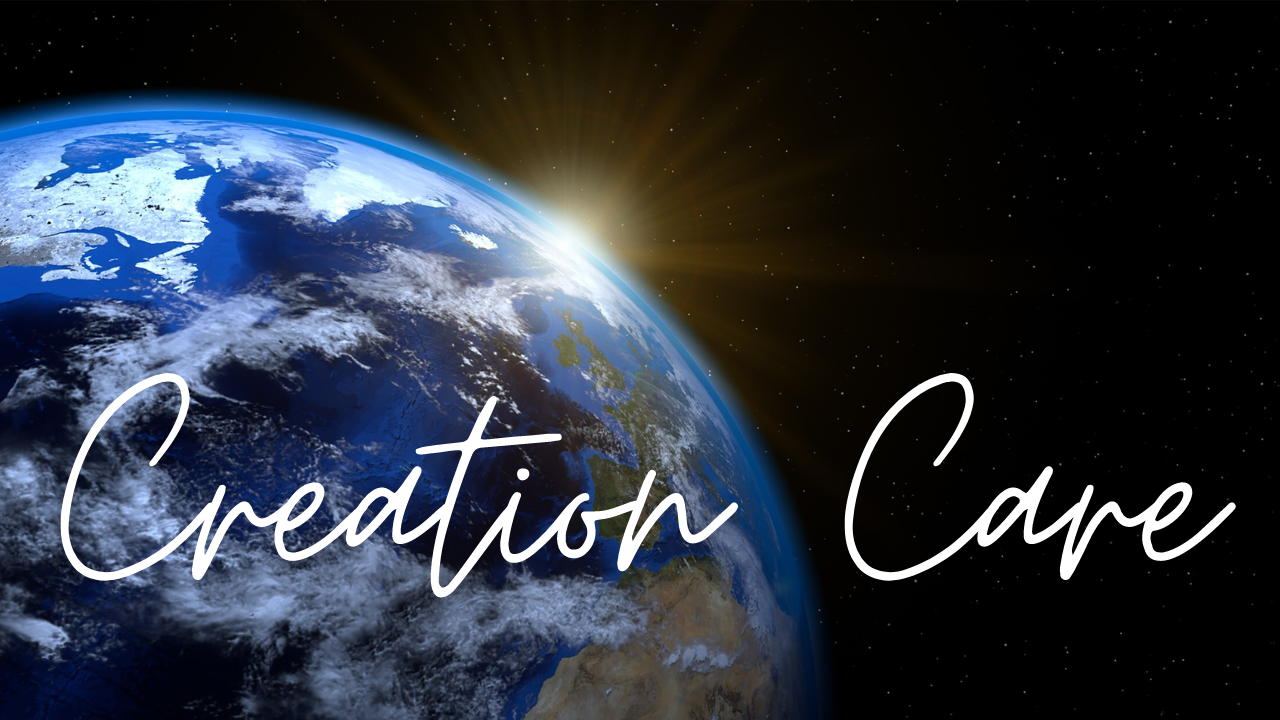 Creation Care Sunday 