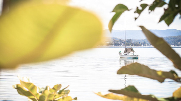 Primary photo of Lake Macquarie