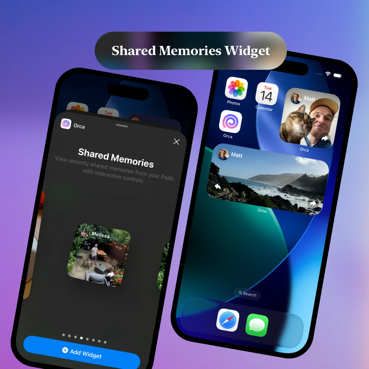 Image of Shared Memories Widget on Orca iOS Home Screen
