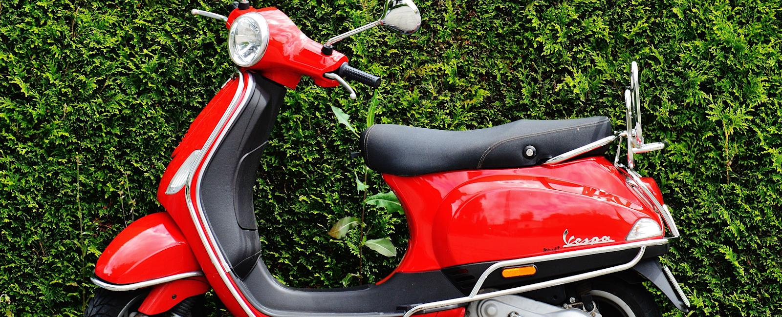 Pemutihan Pajak Kendaraan Bermotor
