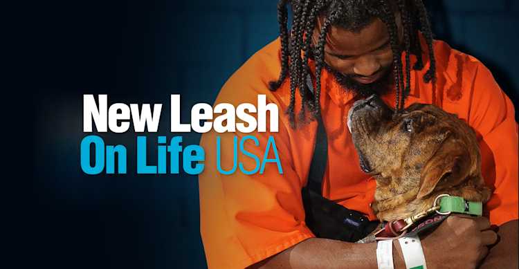 Uffindell to Create New Brand Identity for Groundbreaking US Charity, New Leash on Life USA