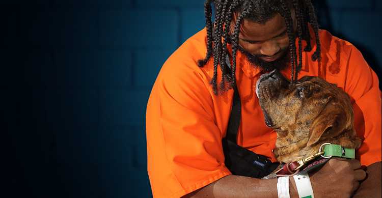 Uffindell to Create New Brand Identity for Groundbreaking US Charity, New Leash on Life USA