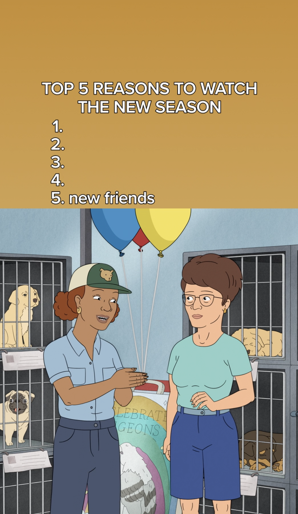 KING OF THE HILL SEASON 15