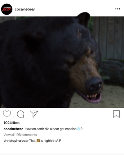 COCAINE BEAR