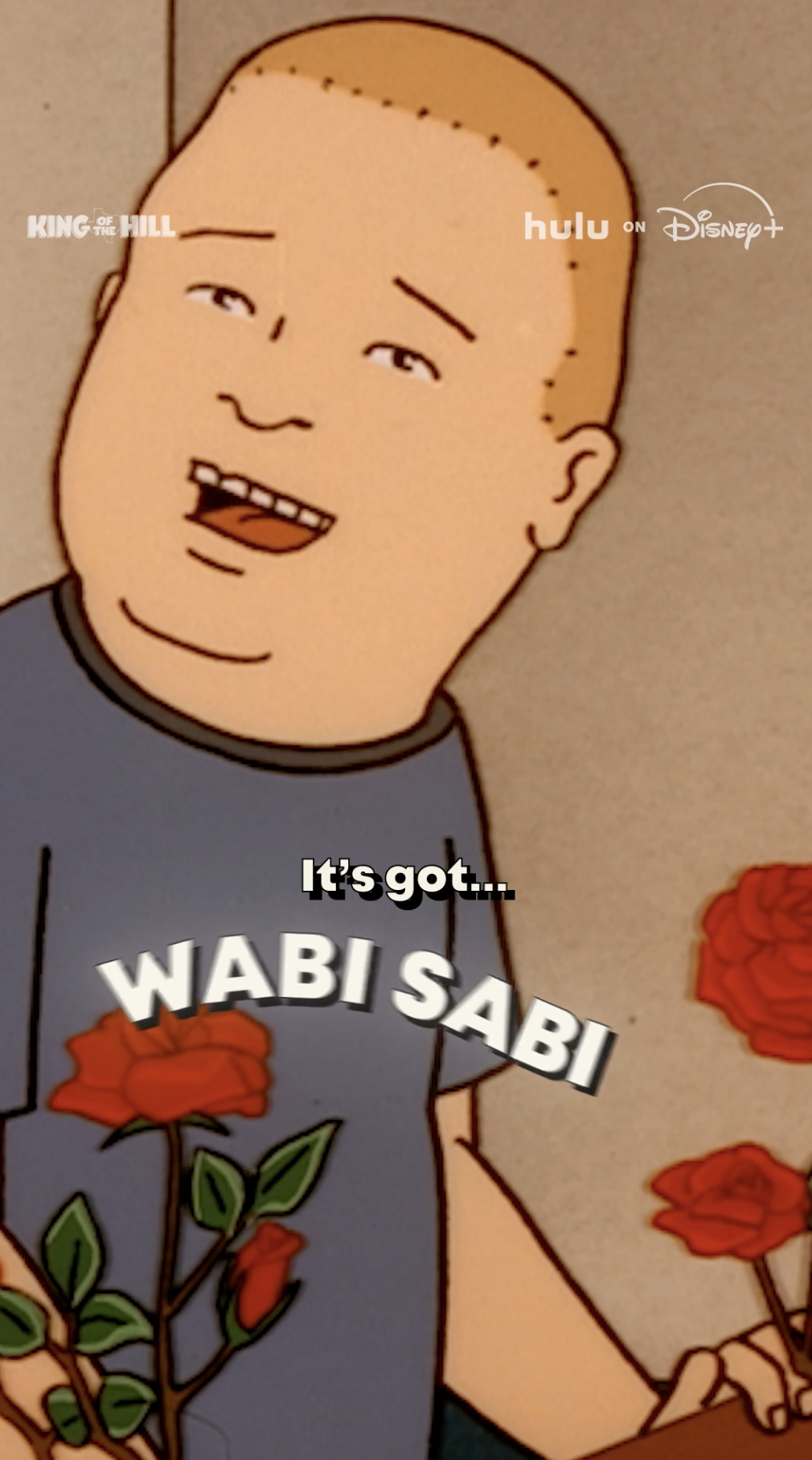 KING OF THE HILL SEASON 15