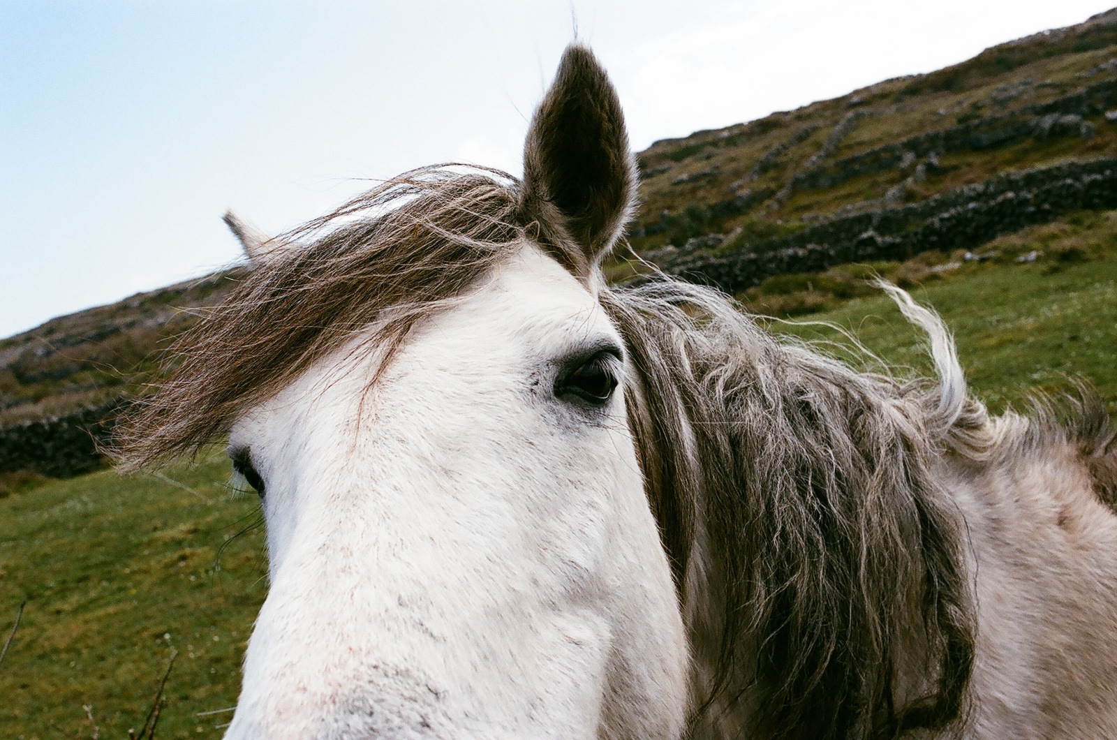 310d3138-0a3b-40f0-a8fc-738af6a8a24e