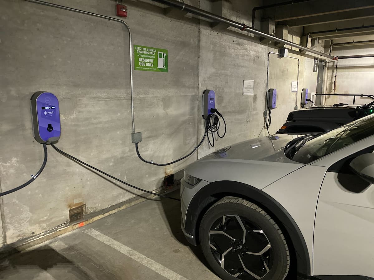 xeal charger + white car