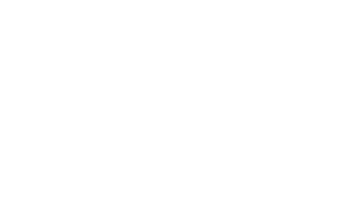 ELK Studios