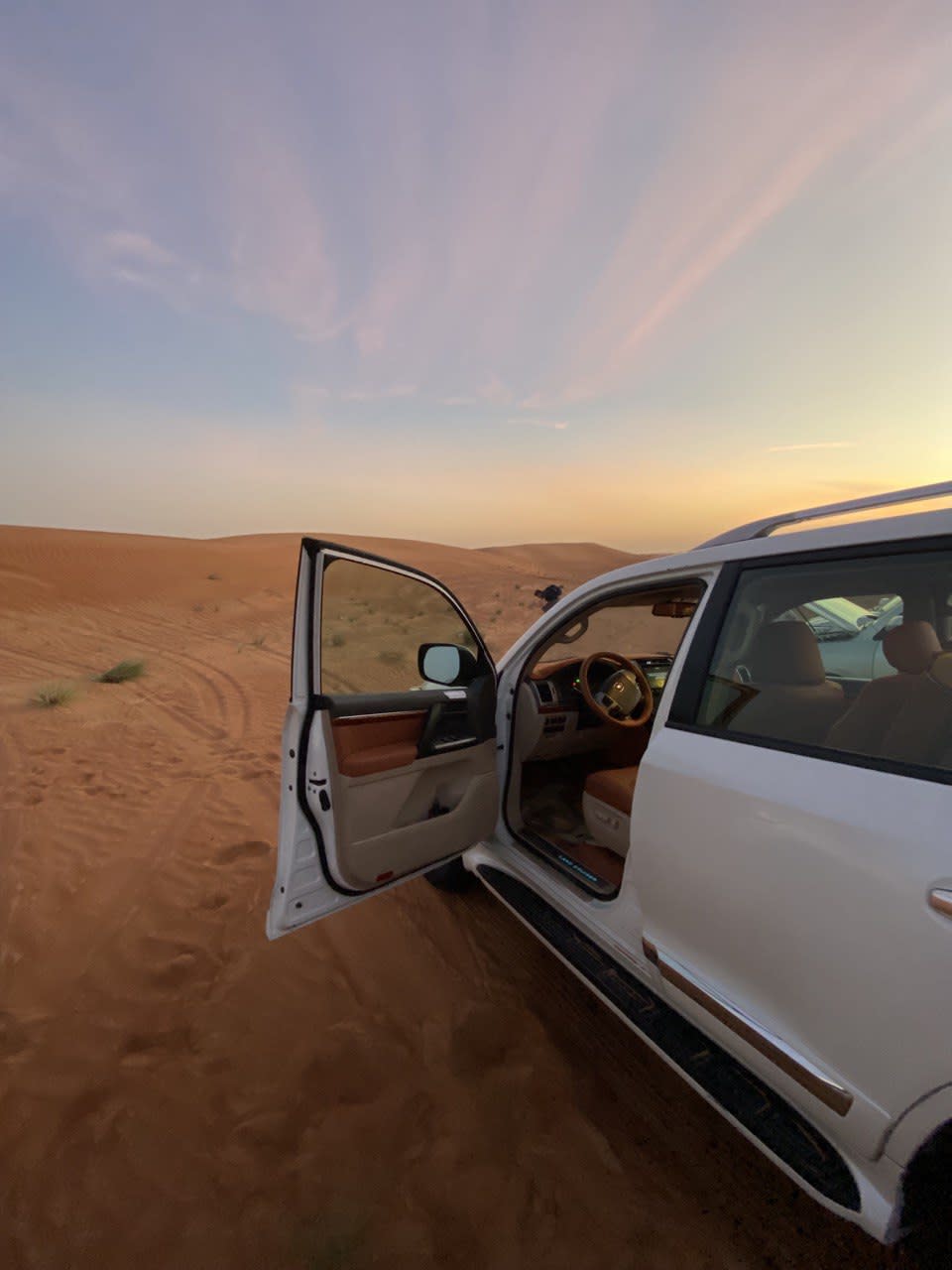 Dubai Desert safari