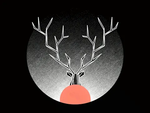 Visual Hooks: What Actually Stops the Scroll