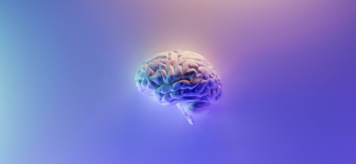 Image of a brain on a coloured background not medical 